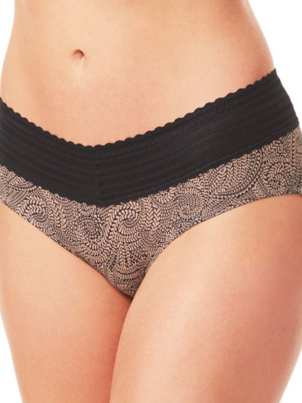 #2308 Warners Comfort Waist with Lace Microfiber Hipster 5609J